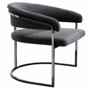 C-Base Metal Frame Dining Chair