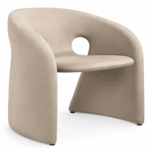 Sculptural Flowing Silhouette Dining Chair